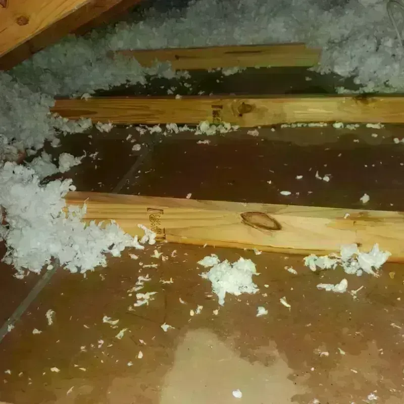 Attic Water Damage in Port Angeles, WA